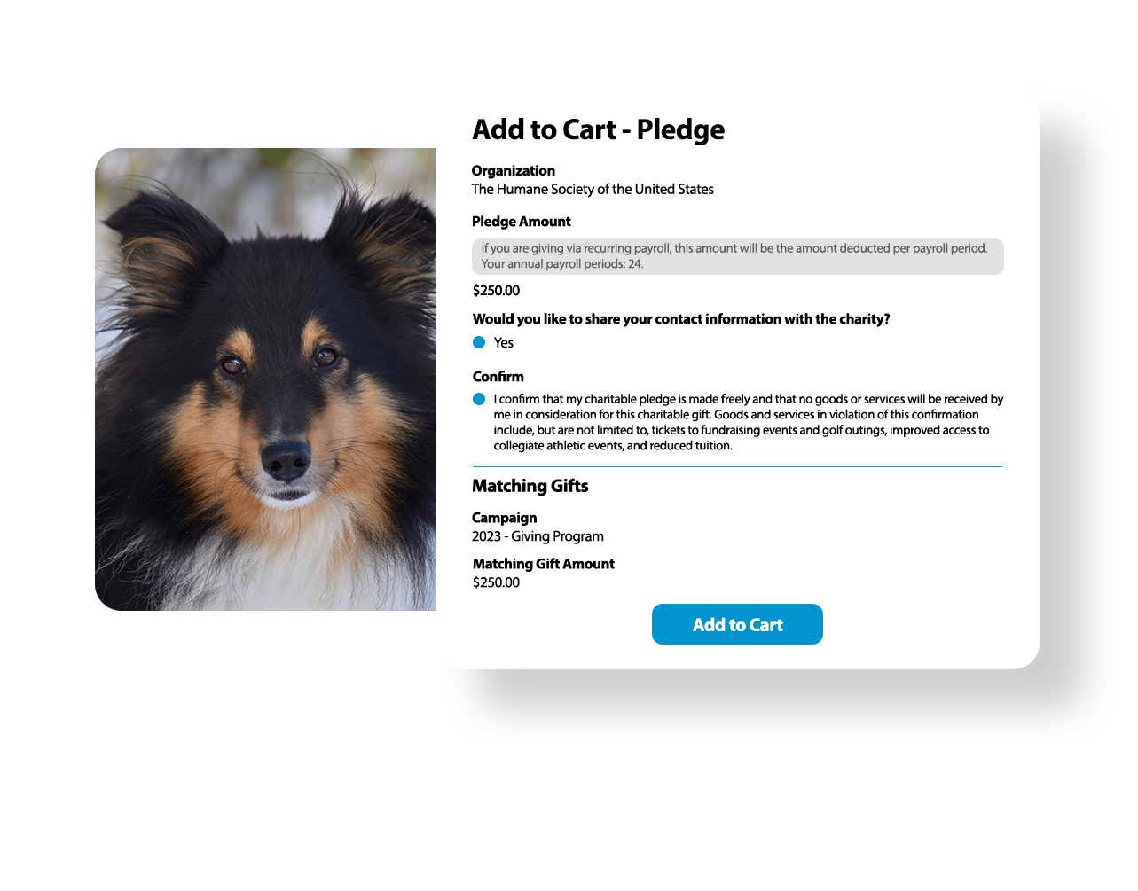 Example_Donation_Shop Example_Donation_Shop